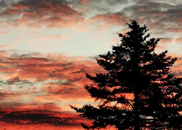 Les Racines Bohemes 3*